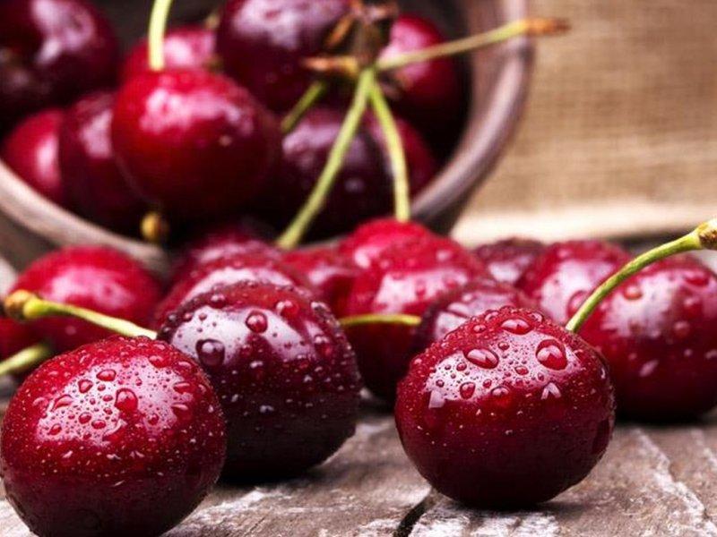 Вишня купить саженцы из питомника в Джанкое